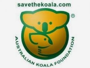 logo koala